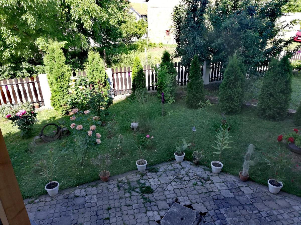 סוקו בניה Apartmani Tvins מראה חיצוני תמונה