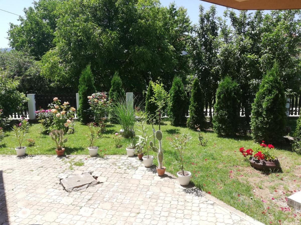 סוקו בניה Apartmani Tvins מראה חיצוני תמונה