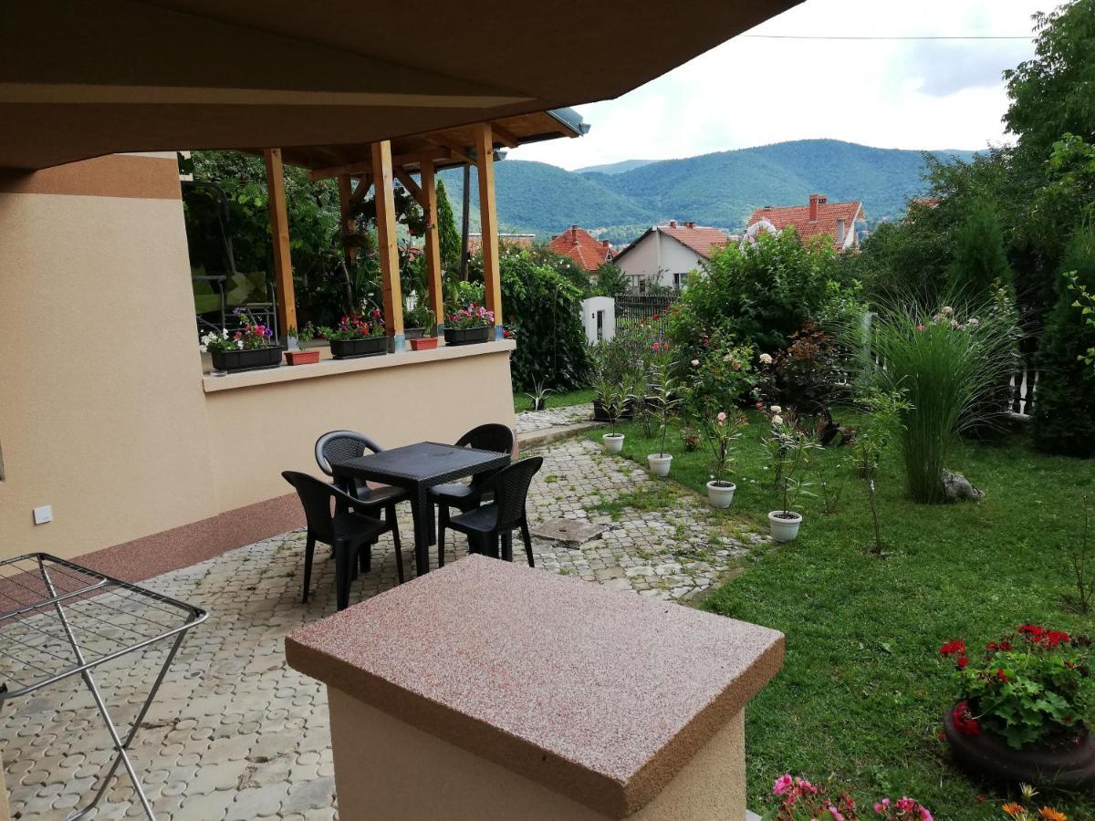סוקו בניה Apartmani Tvins מראה חיצוני תמונה