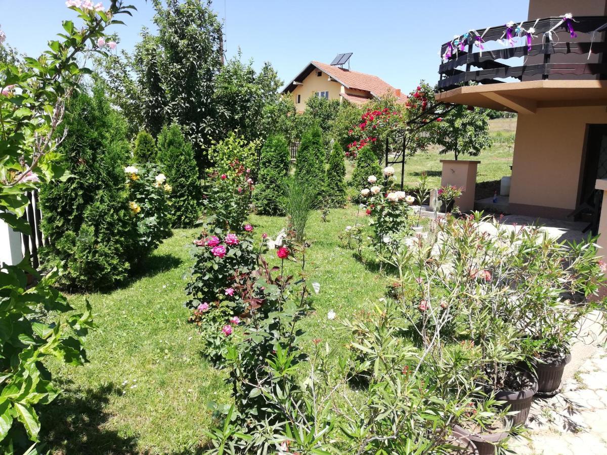 סוקו בניה Apartmani Tvins מראה חיצוני תמונה